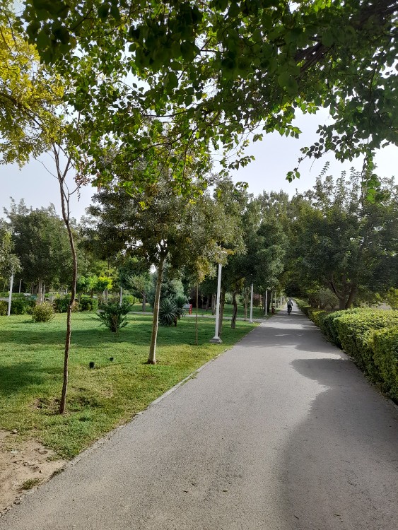 سلام دوستان خوب عکاسخونه صبح شما بخیر وخوشی 🙋‍♀️🌷مشهدهوا 