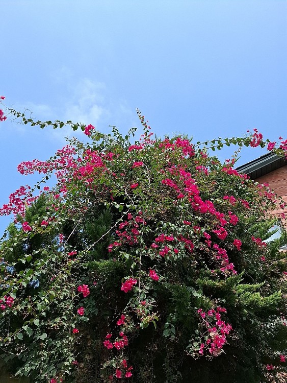 کمی زیبایی ببینیم🥰