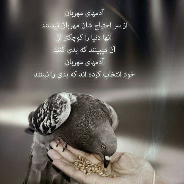 شبتون بخیر 