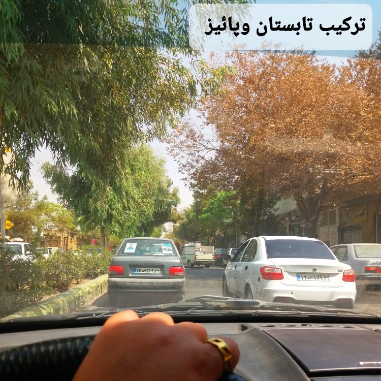 شهریور چه عاشقانه💛
روزهایش را ورق می زند
تا برسد به پاییز🍂