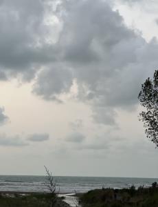 ‏نگم از هوای جذاب شمال🤌🏻🌫️🌊☁️

