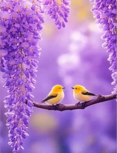 سلام عزیزان صبحتون زیبا گلای با وفا ✋️😊💐🍎