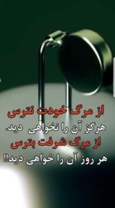نصیحت ناب