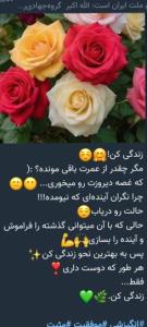 ⚘️⚘️⚘️