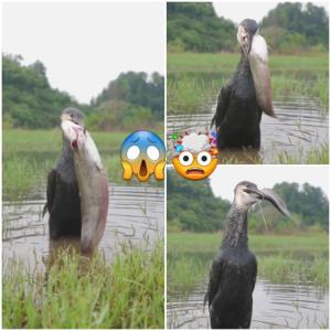 🤯😱🤯😱👋