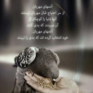شبتون بخیر 