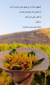 ادمهای‌ ساده‌ ودوست‌داشتنی‌ محبوب‌من
