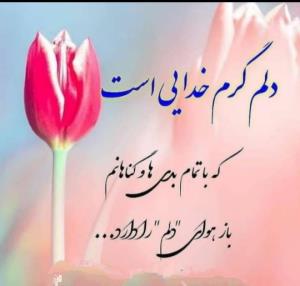 سلام روز بخیر 💓🦋