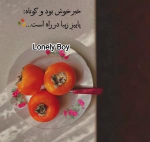 خبر خوش است و کوتاه:
پاییز در راه است ....🍁
