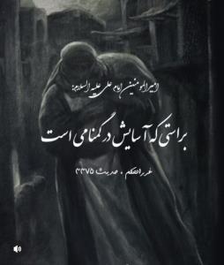 سخن ناب
