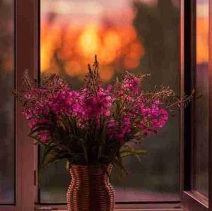 لطفا اصرار نکنید،
هیچوقت؛ به هیچکس؛ برای هیچ چیزی
و هیچ کاری

