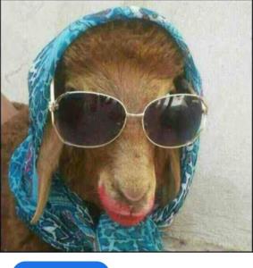 ل‌و‌ن‌لی‌😂
