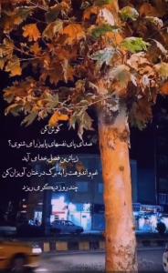 کپشن لطفا 👇🏻