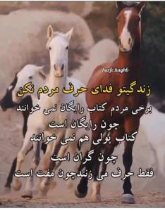 بنظرتون درسته ؟؟؟