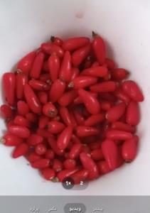 سلام به همگی  اگه گفتین این چیه 😊😊🌹