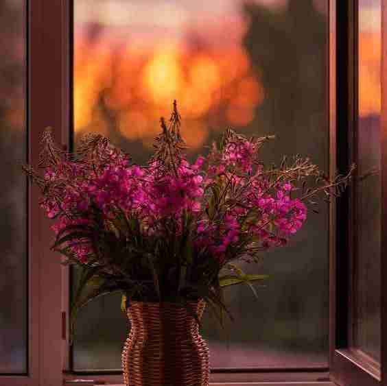 لطفا اصرار نکنید،
هیچوقت؛ به هیچکس؛ برای هیچ چیزی
و هیچ کاری

