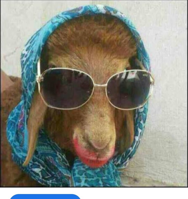 ل‌و‌ن‌لی‌😂