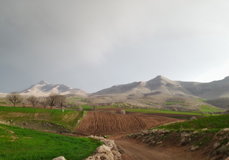 قلعه چهر روستای مله سرخ- کرمانشاه