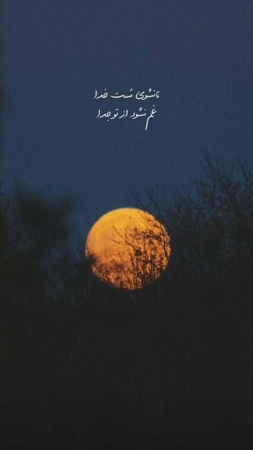 شب خوش خوشگلا 🌹 کپشن لطفاً 👇