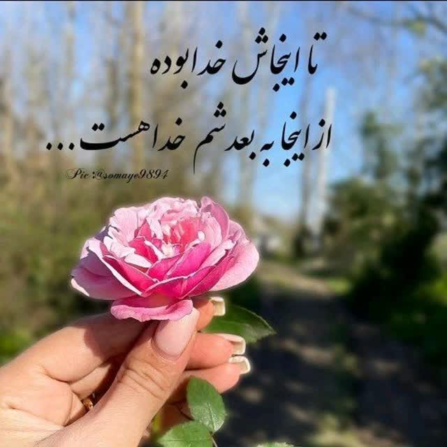 ... 🌹