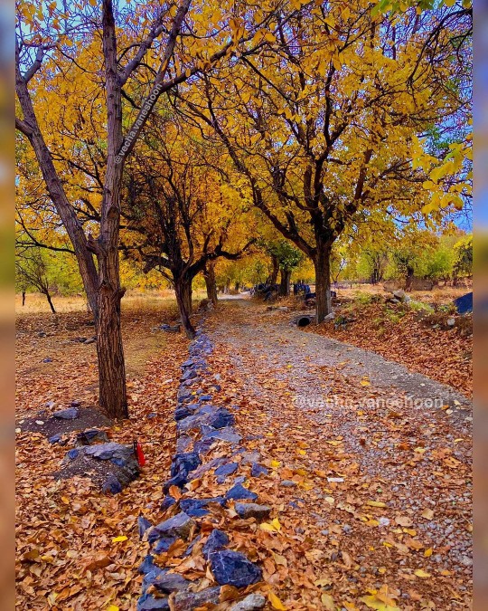 پاییز، فصل معجزه ها😍🍁🍂🍁