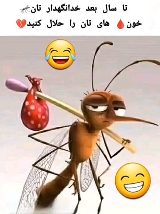😂😂😂😂😂😂