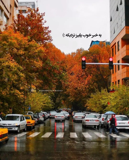 پاییز عزیز دُردانه فصل ها...🍁