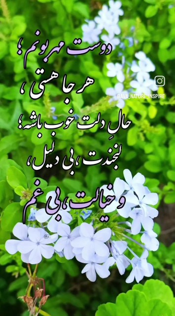 سخن دل 