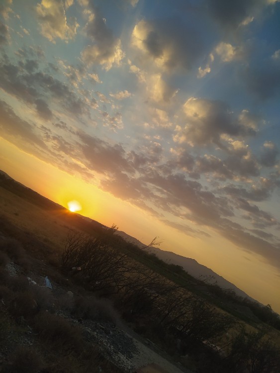 سلام دوستان عزیزم روزتون خوش 🌹