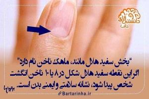 دانستنی ها