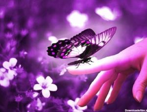 شبت قشنگ زندگی🦋♥️🦋