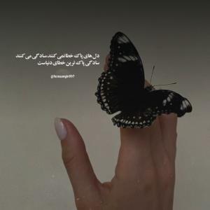 سلام عصر بخیر