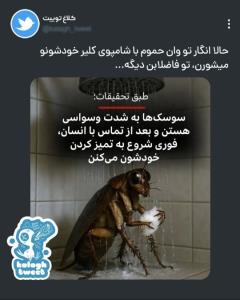 😂😂😂😂😂