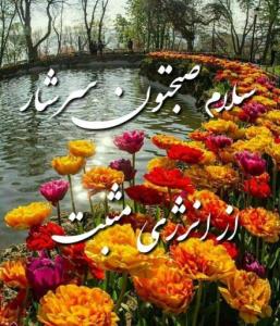 سلام
