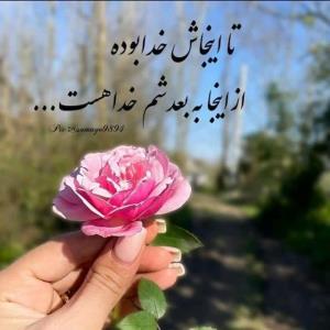 ... 🌹