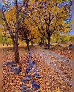 پاییز، فصل معجزه ها😍🍁🍂🍁