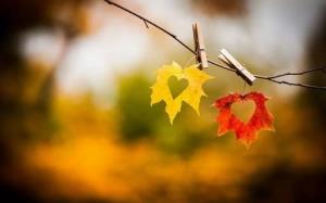 دلنوشته های من ♥️