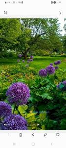 ظهر تون به این زیبایی دوستان