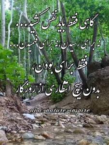 شبتون زیبا 