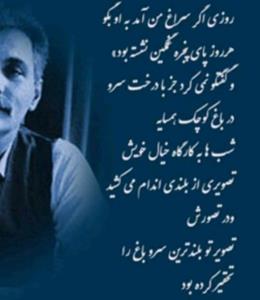 شعر 