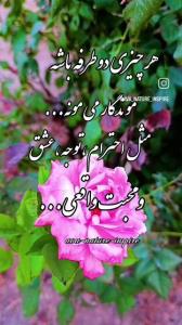 سخن ناب