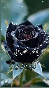 روحشان شاد 
