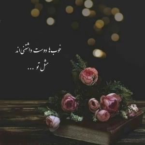مثل توووو
