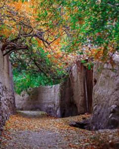 پاییز زیبا😍🍁🍂