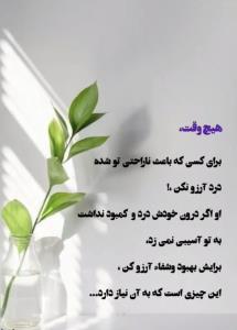 هیچ وقت برای کسی که باعث ناراحتی توشده دردآرزونکن...🌺🌺👌👌