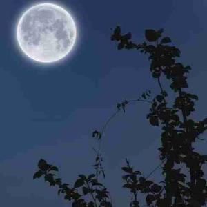 ـ خورشید به ؛ماه گفت:
ـ جایمان را عوض کنیم؟
ـ ماه گفت:
 ـ آیا می توانی طاقت بیاوری برای کسانی که شب ها گریه می کنند؟
ـ خورشید گفت:
ـ آیا تو می توانی افکار کسانی را تحمل کنی برای گریه کردن منتظر شب می مانند؟!🌚🖤:)