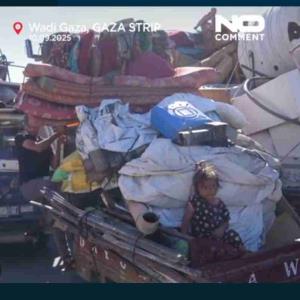 درماندگی مردم غزه