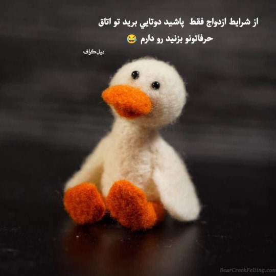  کی اینجوری شرایطش داره😁