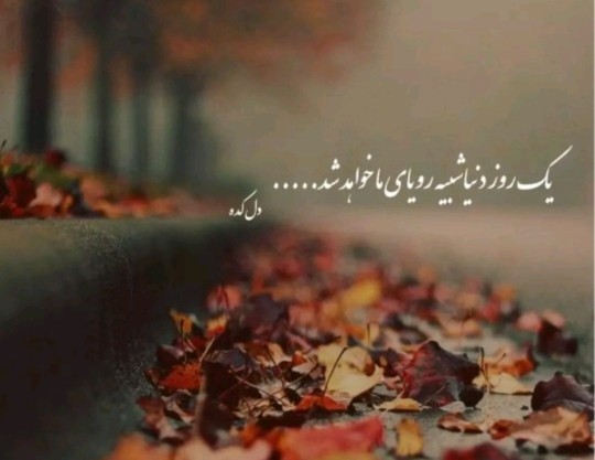 یک روز 