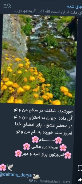 😊🌹😊🌹💚💚💚